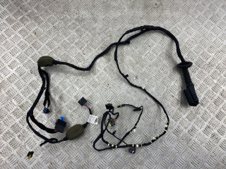 дверная проводка BMW X6 G06 [рестайлинг] 2023, 3.0 л., B57 D30 B, дизель, carbonschwarz metallic (416), 61115A8FFC9