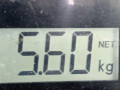 кулак задний правый Opel Signum C [рестайлинг] 2006, 2.2 л., АКПП, хетчбэк 5 дв., 12756709 - фото №8