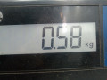 замок двери передней левой Ford C-Max 1 поколение 2006, 1.8 л., АКПП, минивэн - фото №5