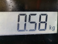 форсунка Nissan Qashqai 1 поколение 2007, 2.0 л., вариатор, внедорожник 5 дв., 16600EN200 - фото №6
