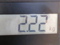 блок предохранителей Land Rover Freelander 2 поколение 2006, 2.2 л., МКПП, внедорожник 5 дв., 1385556 - фото №7