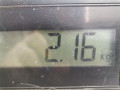 корпус воздушного фильтра Mazda 323 6 поколение 2000, 2.0 л., МКПП, хетчбэк 5 дв. - фото №7