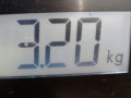 спойлер Kia Ceed 1 поколение 2008, 1.6 л., МКПП, хетчбэк 3 дв., 872511H200 - фото №7