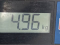 стойка амортизатора Opel Astra G 1998, 1.2 л., МКПП, хетчбэк 5 дв., I1203007 - фото №6