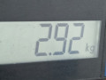 стартер SEAT Ibiza 3 поколение 2003, 1.4 л., МКПП, хетчбэк 3 дв., 02T911023GX - фото №7