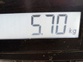 усилитель бампера переднего Volkswagen Golf 4 поколение 2004, 1.4 л., МКПП, универсал, 1J0805551E - фото №8