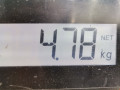 суппорт передний правый Opel Astra H/Family [рестайлинг] 2010, 1.4 л., МКПП, хетчбэк 3 дв., 93176427 - фото №7
