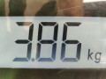обшивка двери передняя левая Chrysler 300C 1 поколение 2006, 3.5 л., АКПП, седан, 1BG711DBAD - фото №3
