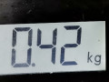 распределитель зажигания (трамблёр) SEAT 2000, 1.6 л., МКПП, универсал, 030905205AB - фото №8