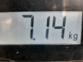 диск тормозной передний Opel Corsa B 1998, 1.2 л., МКПП, хетчбэк 3 дв., 93182290 - фото №6
