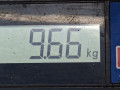 пневмостойка передняя Land Rover Range Rover Sport 1 поколение 2006, 2.7 л., АКПП, внедорожник 5 дв., RNB501310 - фото №5