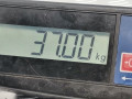КПП механическая (МКПП) Rover 45 1 поколение RT 2001, 2.0 л., МКПП, хетчбэк 5 дв., TRC102590N - фото №8