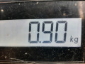 блок управления двигателем Opel Meriva 1 поколение (A) 2005, 1.4 л., МКПП, минивэн, 7701474710 - фото №4