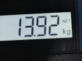 Диск колесный штампованный (железо) Ford Focus 1 поколение 2001, 1.6 л., МКПП, универсал, 1064105 - фото №4