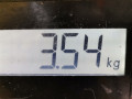 суппорт задний правый Opel Astra K 2016, 1.6 л., МКПП, хетчбэк 5 дв., 13507389 - фото №6