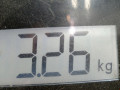 интеркулер Citroen C-Crosser 1 поколение 2007, 2.2 л., МКПП, внедорожник 5 дв. - фото №7