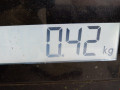 защита арок задняя левая (подкрылок) Ford C-Max 1 поколение 2006, 1.6 л., МКПП, минивэн, 1300933 - фото №3
