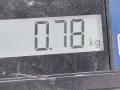 петля двери Citroen Jumper 2 поколение 2011, 2.2 л., МКПП, микроавтобус - фото №5