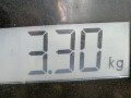 фара правая Toyota Avensis 3 поколение (T270) [рестайлинг] 2012, 2.0 л., МКПП, седан, 8112605310 - фото №7