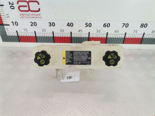 бачок расширительный Chevrolet Volt 1 поколение 2012, 1.4 л., АКПП, лифтбэк, 22940436