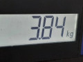 подушка крепления двигателя Hyundai Santa Fe 2 поколение (CM) [рестайлинг] 2010, 2.2 л., МКПП, внедорожник 5 дв., 218302P600 - фото №7