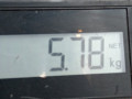 ступица передняя правая Citroen C4 Grand Picasso 1 поколение 2008, 1.6 л., МКПП, минивэн, 330785 - фото №4