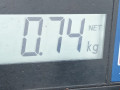 зеркало наружное левое Ford Fusion 1 поколение 2003, 1.4 л., МКПП, хетчбэк 5 дв., 1567125 - фото №6