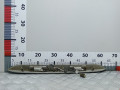 подсветка номера Daewoo Leganza 1 поколение 2006 - фото №3