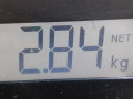 пружина передняя Renault Clio 3 поколение 2009, 1.5 л., МКПП, хетчбэк 3 дв., 540100773R - фото №4