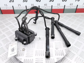 катушка зажигания Renault Clio 3 поколение 2007, 1.2 л., МКПП, хетчбэк 3 дв., 8200702693