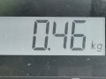 защита арок передняя левая (подкрылок) Peugeot 2003, 2.2 л., МКПП, микроавтобус, 7136FK - фото №5
