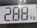стартер Nissan Qashqai 1 поколение 2007, 2.0 л., вариатор, внедорожник 5 дв., 23300EN20A - фото №7