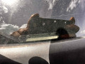 дуги на крышу (рейлинги) Renault Laguna 2 поколение 2001, 1.6 л., МКПП, универсал, 8200185728 - фото №10