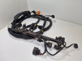проводка двигателя SEAT Leon 2 поколение [рестайлинг] 2012, 1.2 л., TSI, бензин, МКПП, передний привод, 03F972619J - фото №3