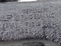 ступица задняя правая SEAT Alhambra 1 поколение [рестайлинг] 2004, 1.9 л., МКПП, минивэн, 7M3598625A - фото №8