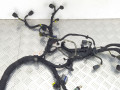 проводка двигателя Land Rover Range Rover Sport 1 поколение 2007, 3.6 л., TD, дизель, АКПП, полный привод, 6H3Q9H589 - фото №3