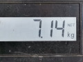 кулак поворотный правый Subaru Forester 1 поколение (SF) 1999, 2.0 л., МКПП, внедорожник 5 дв., 28012AA023 - фото №7