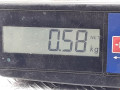 кассета радиаторов Volvo C30 1 поколение 2008, 1.6 л., МКПП, хетчбэк 3 дв., 31217837 - фото №4