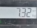 стойка амортизатора Volkswagen Touareg 1 поколение 2003, 2.5 л., АКПП, внедорожник 5 дв., 7L6513029E - фото №4