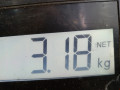 амортизатор задний левый Renault Modus 1 поколение 2007, 1.2 л., МКПП, хетчбэк 5 дв., 8200702469 - фото №6