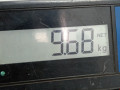 ступица передняя правая Renault Megane 1 поколение [рестайлинг] 2000, 1.4 л., МКПП, хетчбэк 5 дв., 8200208332 - фото №7