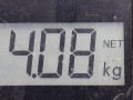стабилизатор подвески передний Peugeot 307 1 поколение 2003, 2.0 л., МКПП, кабриолет, 5081E7 - фото №5