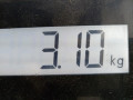 стартер Renault Megane 2 поколение 2006, 1.6 л., МКПП, хетчбэк 5 дв., 8200266777 - фото №6
