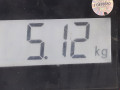 диск тормозной задний Volkswagen Beetle 2 поколение 2001, 1.4 л., МКПП, хетчбэк 3 дв., 2Q0615601H - фото №7