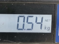 решетка радиатора Volkswagen Polo 4 поколение [рестайлинг] 2006, 1.2 л., МКПП, хетчбэк 5 дв., 6Q0853653E - фото №4