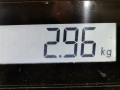 рычаг передний правый Opel Zafira 1 поколение (A) [рестайлинг] 2003, 2.2 л., МКПП, минивэн, 24454478 - фото №7