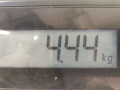 стеклоподъемник электрический передний правый Ford Focus 2 поколение 2006, 1.8 л., МКПП, хетчбэк 5 дв., 1738646 - фото №8