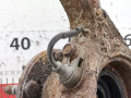 кулак поворотный правый Subaru Forester 1 поколение (SF) 1999, 2.0 л., МКПП, внедорожник 5 дв., 28012AA023 - фото №6