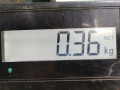 переключатель подрулевой (стрекоза) Volvo S70 1 поколение 1998, 2.4 л., МКПП, универсал, 9162455 - фото №7
