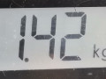 амортизатор задний левый Peugeot 206 1 поколение 2002, 1.1 л., МКПП, хетчбэк 3 дв., 5206Q5 - фото №4